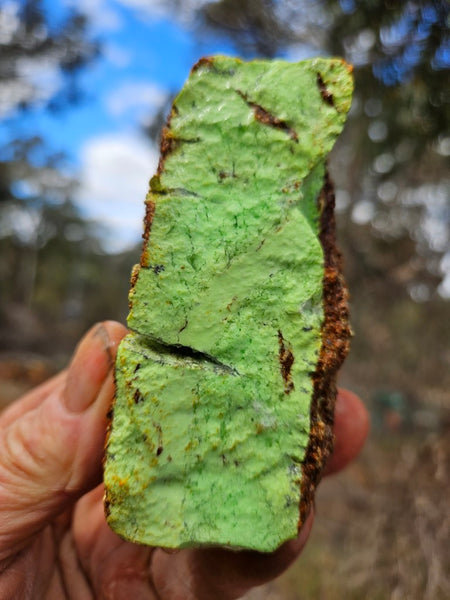 Lime magnesite rough.  LMR 139