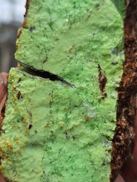 Lime magnesite rough.  LMR 139