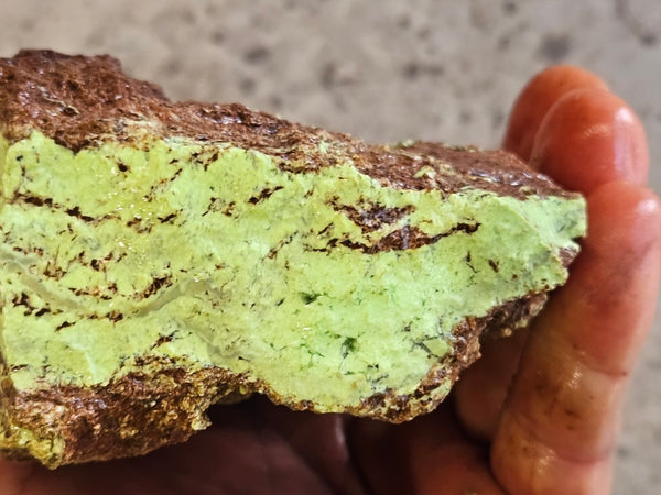 Lime magnesite rough.  LMR 138
