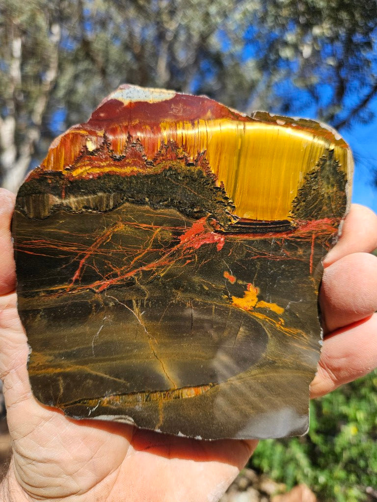 Polished Tiger Eye slab TE497