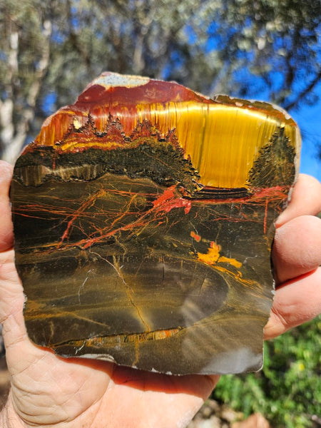 Polished Tiger Eye slab TE497