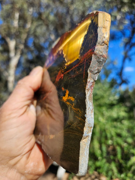 Polished Tiger Eye slab TE497