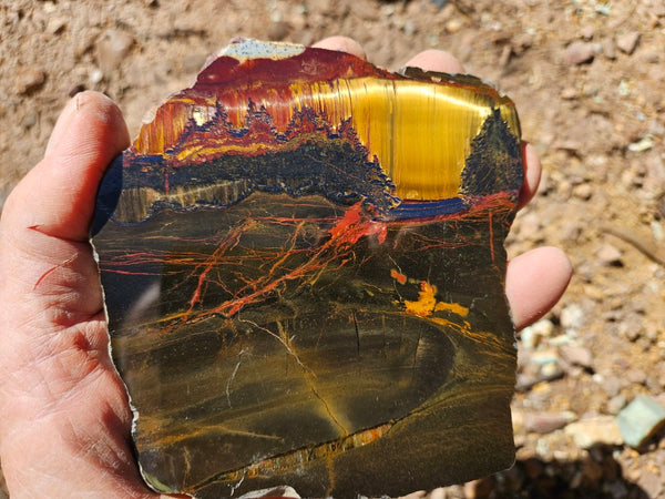 Polished Tiger Eye slab TE497