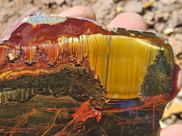 Polished Tiger Eye slab TE497