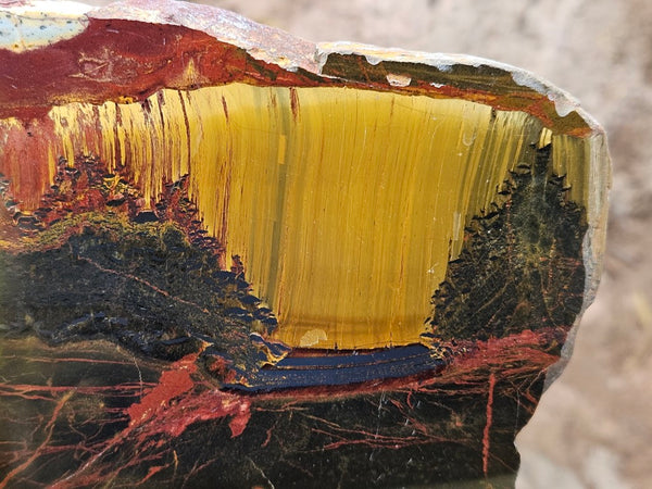 Polished Tiger Eye slab TE497