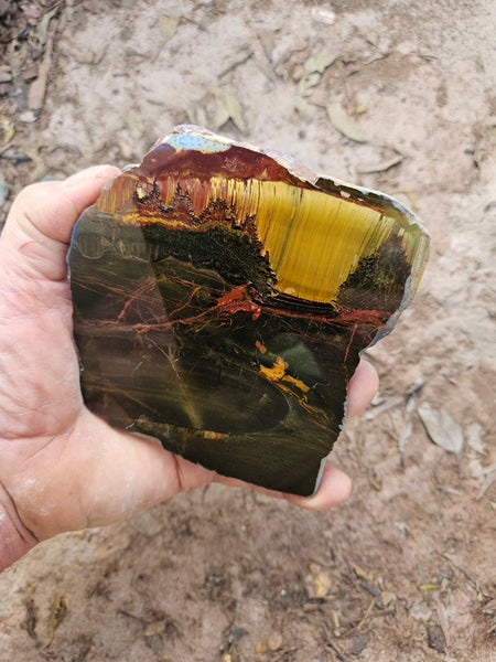 Polished Tiger Eye slab TE497