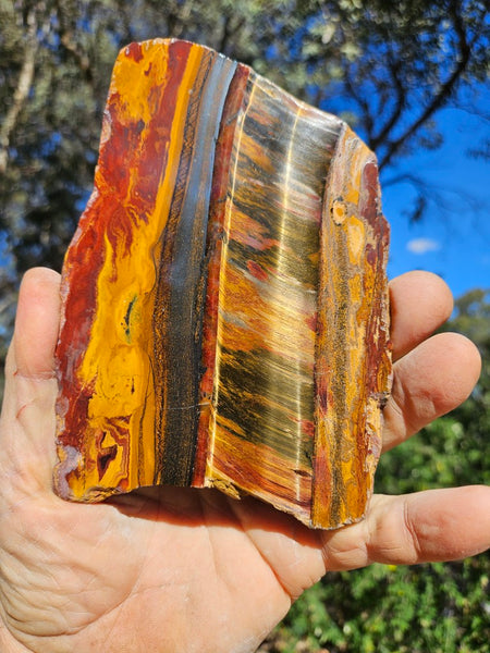 Polished Tiger Eye slab TE498
