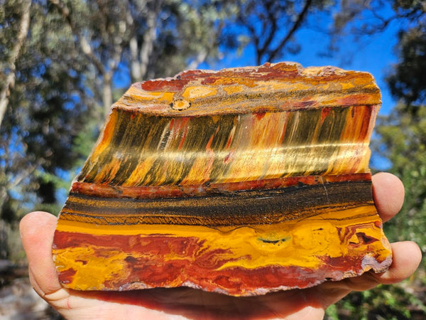 Polished Tiger Eye slab TE498