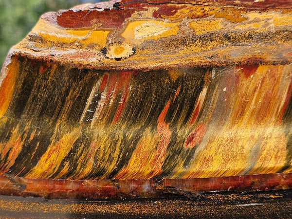 Polished Tiger Eye slab TE498