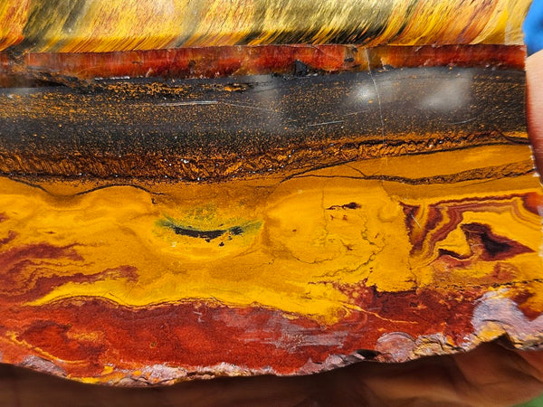 Polished Tiger Eye slab TE498