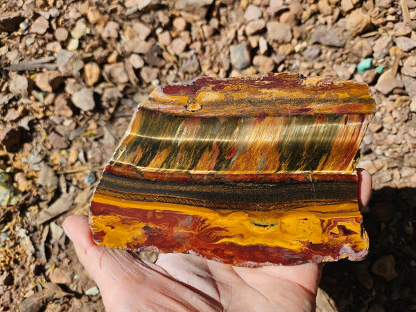 Polished Tiger Eye slab TE498