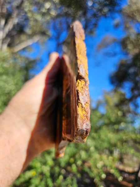 Polished Tiger Eye slab TE498