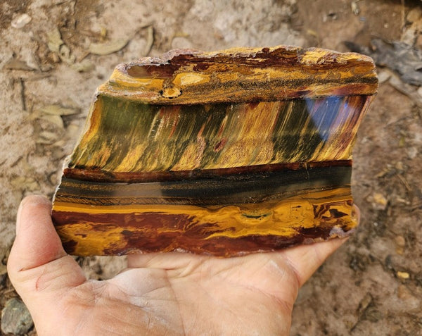 Polished Tiger Eye slab TE498
