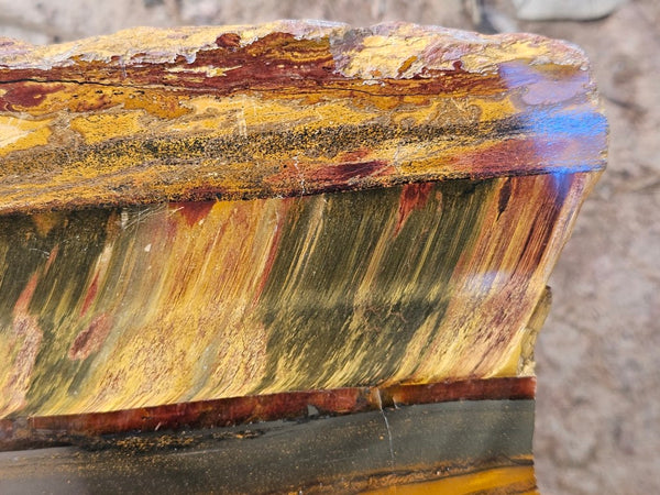 Polished Tiger Eye slab TE498