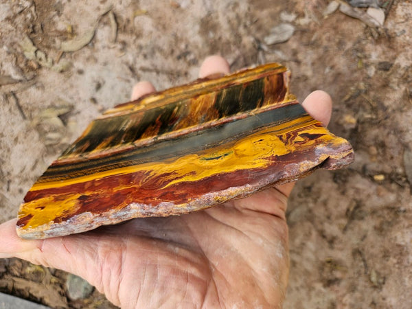 Polished Tiger Eye slab TE498