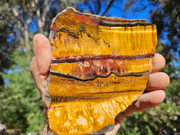 Polished Tiger Eye slab TE499