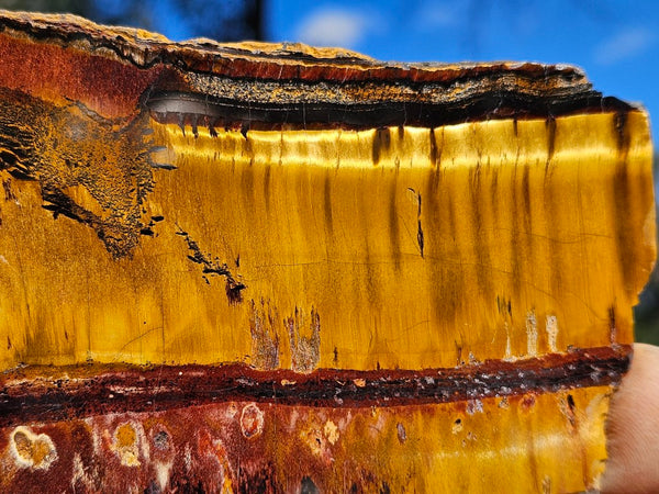 Polished Tiger Eye slab TE499