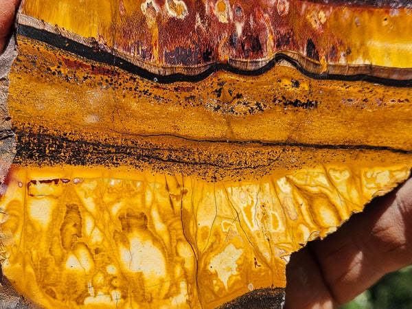 Polished Tiger Eye slab TE499
