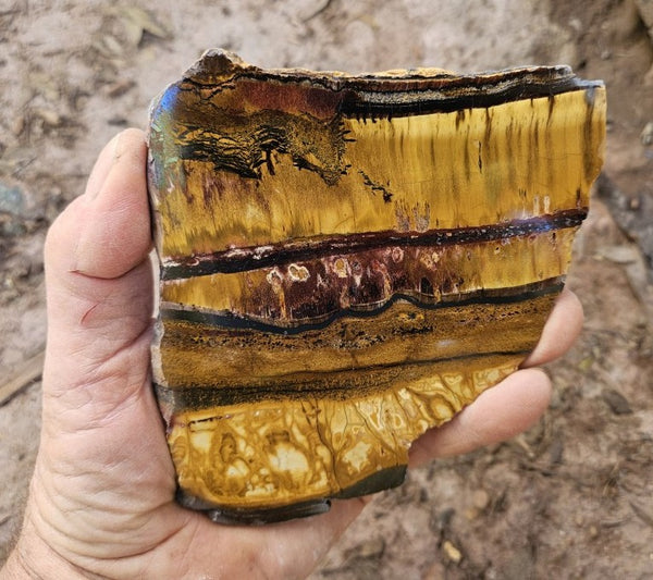 Polished Tiger Eye slab TE499