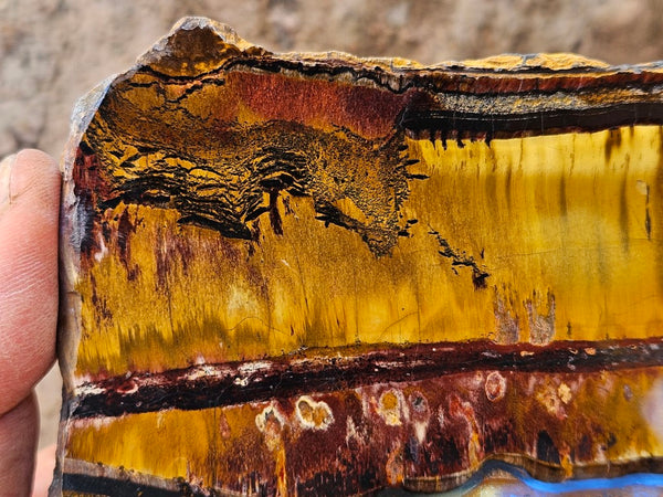 Polished Tiger Eye slab TE499