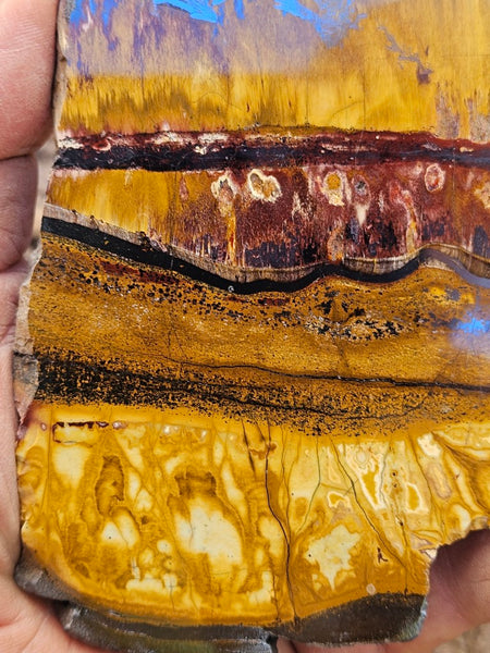 Polished Tiger Eye slab TE499