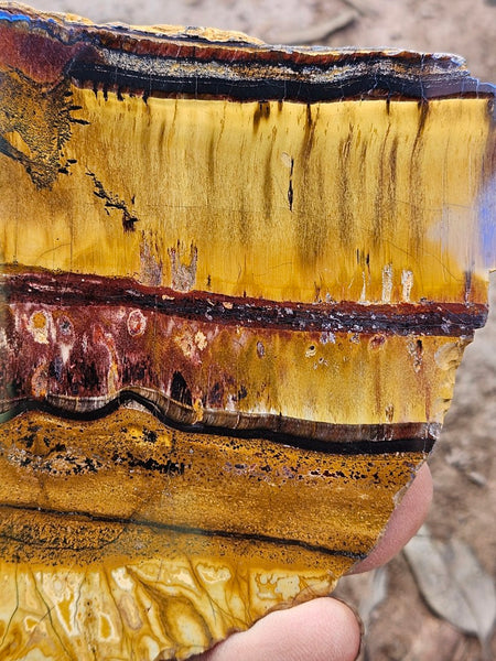 Polished Tiger Eye slab TE499