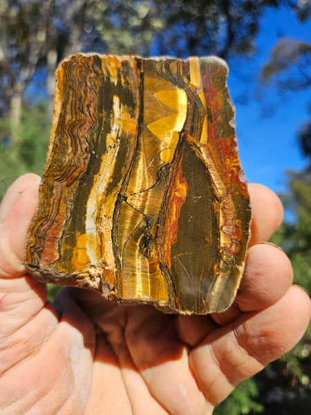 Polished Tiger Eye slab TE501