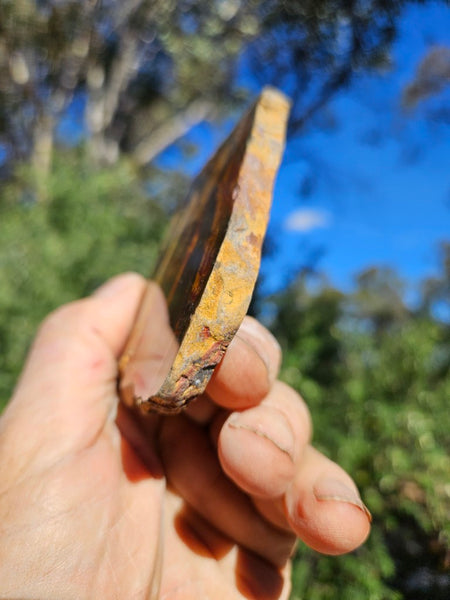 Polished Tiger Eye slab TE501