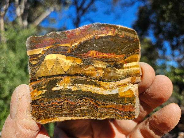Polished Tiger Eye slab TE501