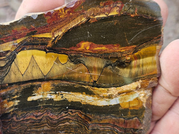 Polished Tiger Eye slab TE501