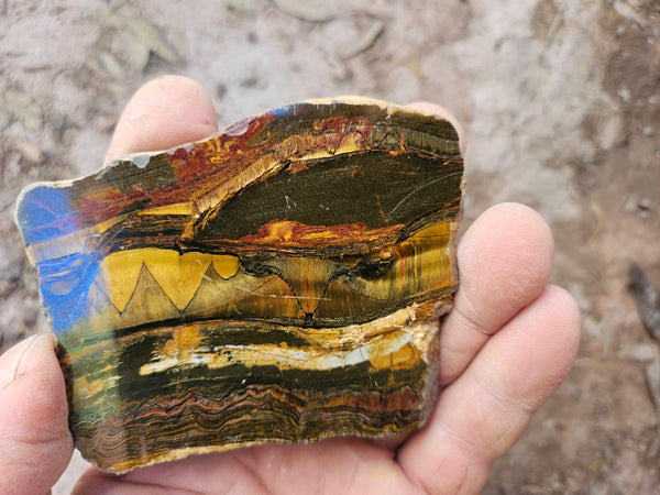Polished Tiger Eye slab TE501