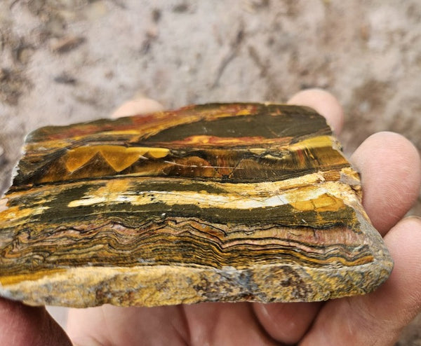 Polished Tiger Eye slab TE501