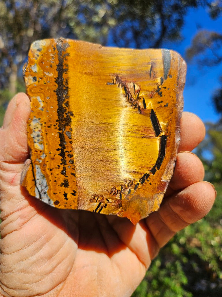 Polished Tiger Eye slab TE500