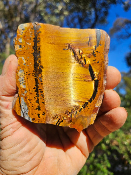 Polished Tiger Eye slab TE500