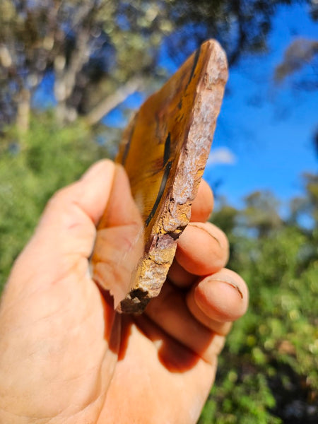 Polished Tiger Eye slab TE500