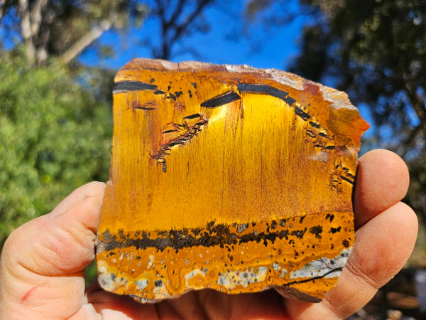 Polished Tiger Eye slab TE500