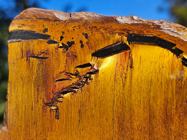 Polished Tiger Eye slab TE500