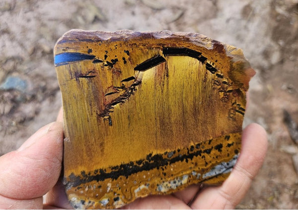 Polished Tiger Eye slab TE500