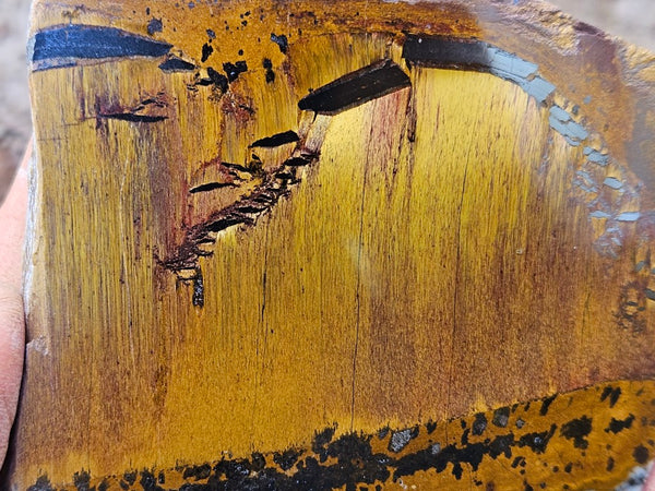 Polished Tiger Eye slab TE500