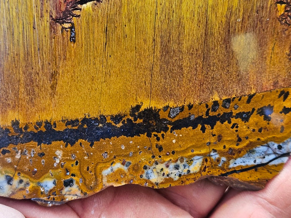 Polished Tiger Eye slab TE500