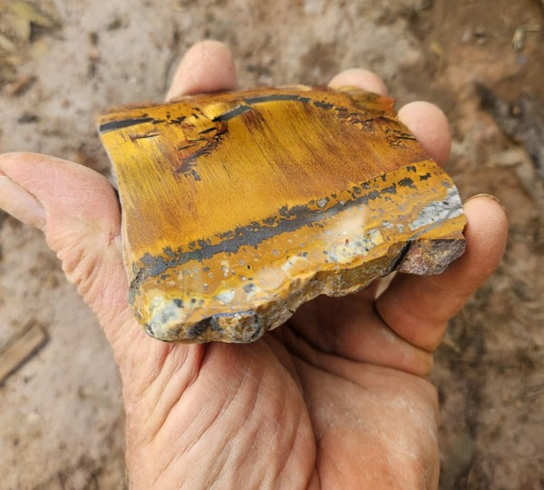 Polished Tiger Eye slab TE500