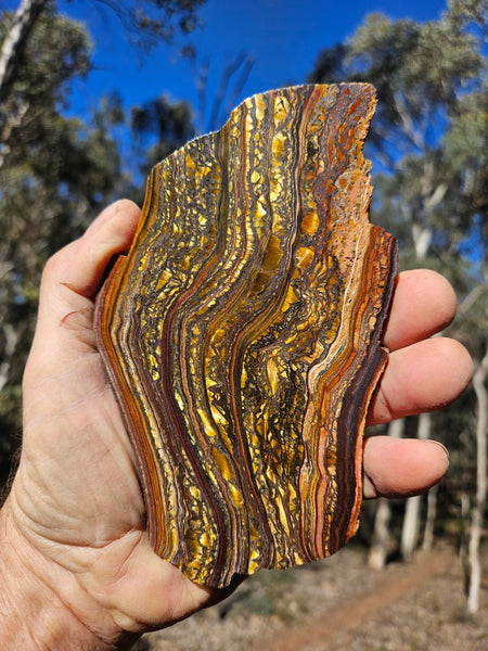 Polished Tiger Iron slab TI420