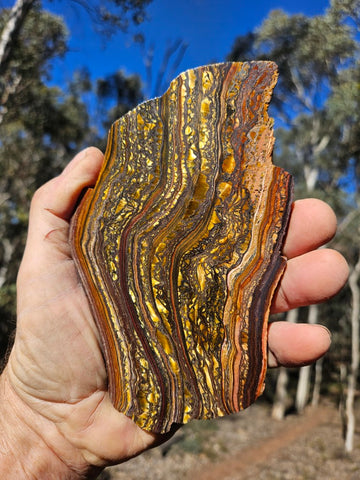 Polished Tiger Iron slab TI420