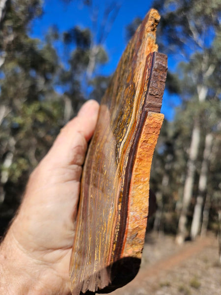 Polished Tiger Iron slab TI420