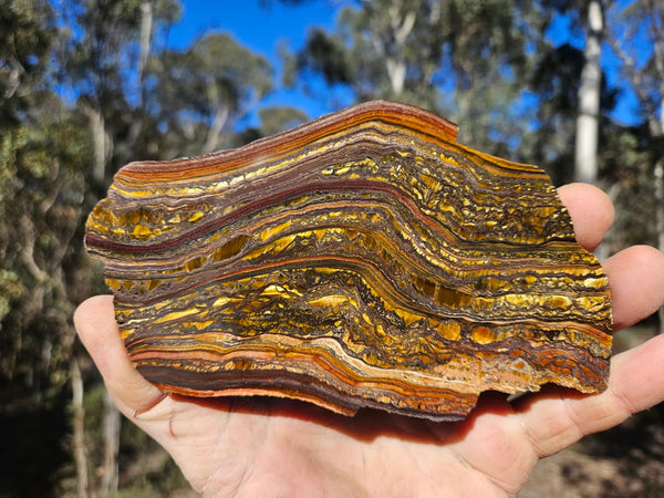 Polished Tiger Iron slab TI420