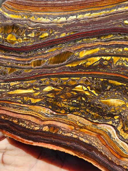 Polished Tiger Iron slab TI420