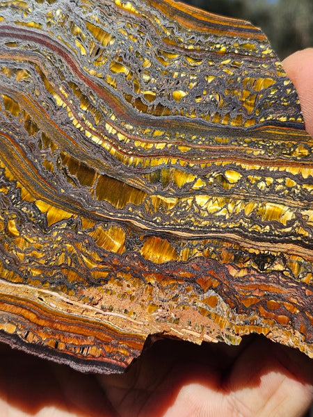 Polished Tiger Iron slab TI420