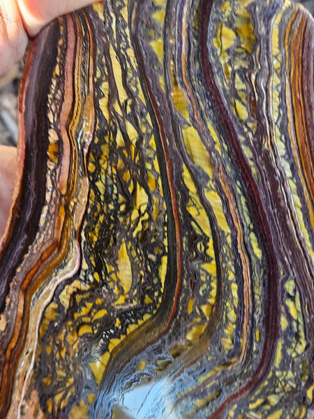 Polished Tiger Iron slab TI420