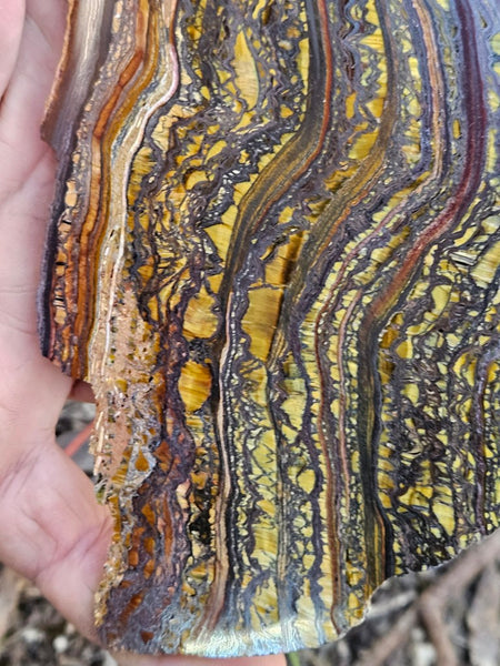 Polished Tiger Iron slab TI420