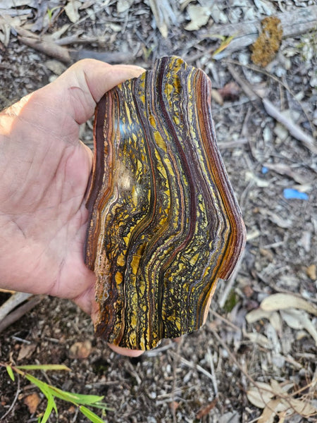 Polished Tiger Iron slab TI420